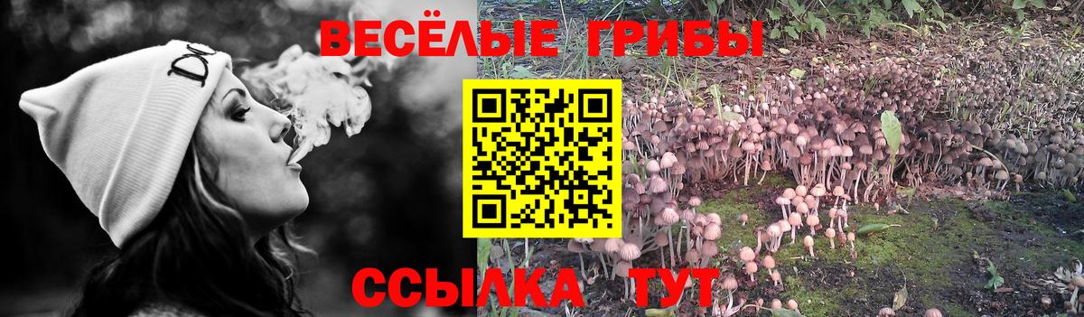 Галлюциногенные грибы мухоморы Менделеевск